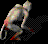 00010.PNG